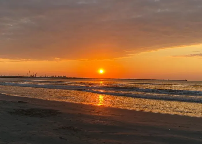 Royal Reed Διαμέρισμα *